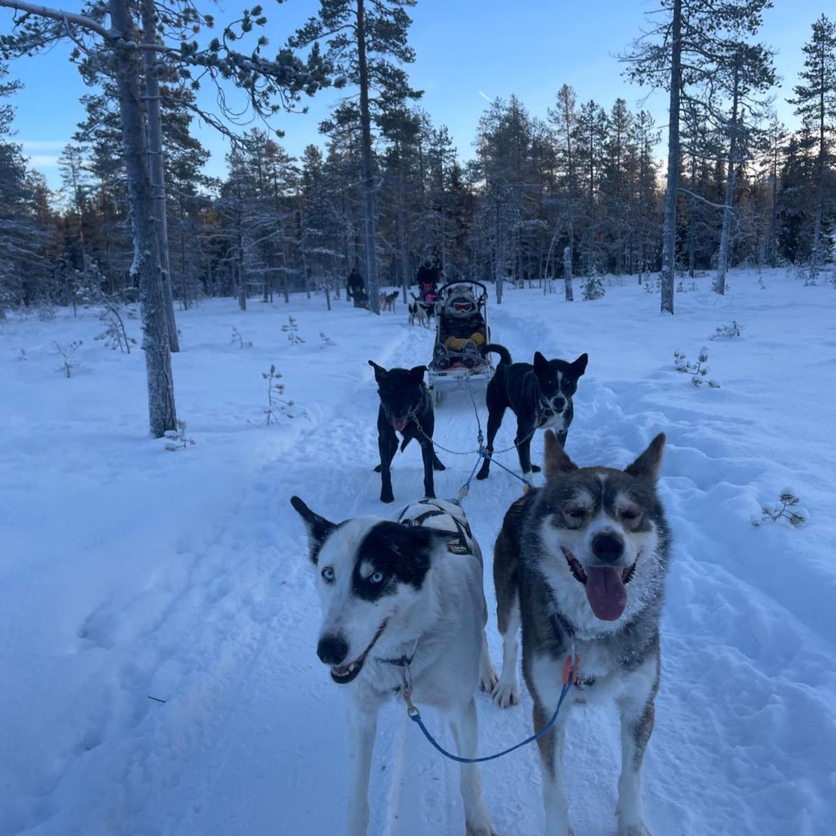 Saeterasen Hytter & Camping Trysil Exterior photo