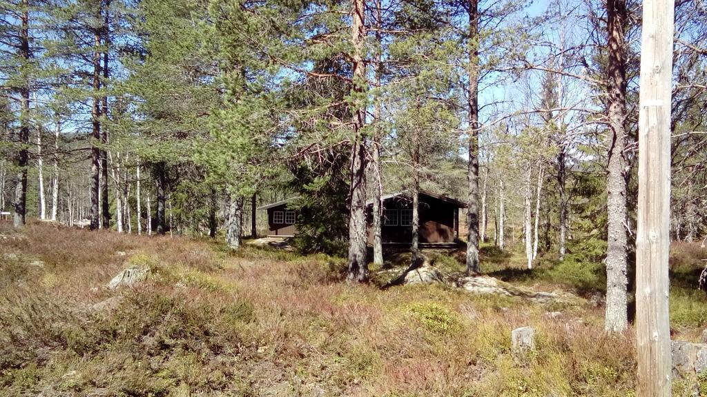 Saeterasen Hytter & Camping Trysil Exterior photo